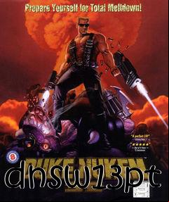 Box art for dnsw13pt