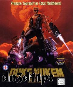 Box art for dn3d11pt