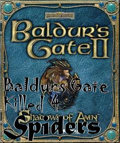 Box art for Baldurs Gate