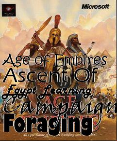 Box art for Age of Empires