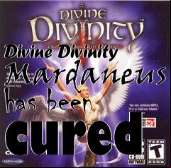 Box art for Divine Divinity