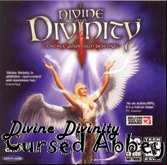 Box art for Divine Divinity