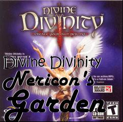 Box art for Divine Divinity