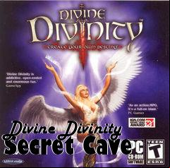 Box art for Divine Divinity