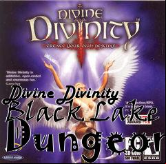 Box art for Divine Divinity