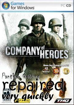 Box art for Panther Getting repaired very quickly