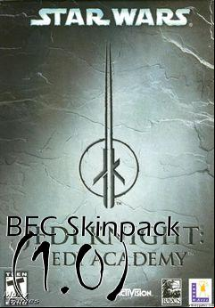 Box art for BEC Skinpack (1.0)