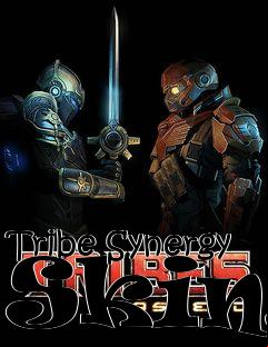 Box art for Tribe Synergy Skins