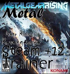 Box art for Metal
              Gear Rising: Revengeance Steam +12 Trainer