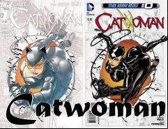 Box art for Catwoman