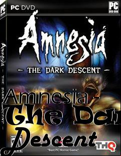 Box art for Amnesia - The Dark Descent