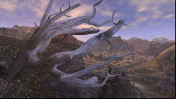 Fallout: New Vegas Dead Wastleland Flora Overhaul v.2.9b mod screenshot