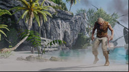 Assassins Creed 4: Black Flag Assassin